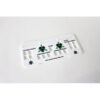 Bandua Pandemic Control Console