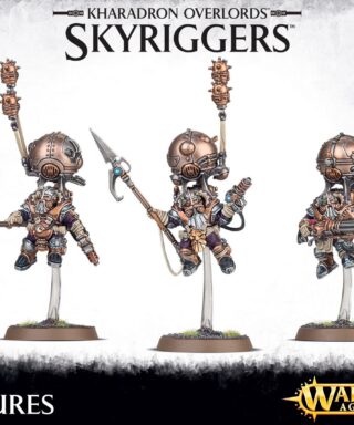 Skyriggers