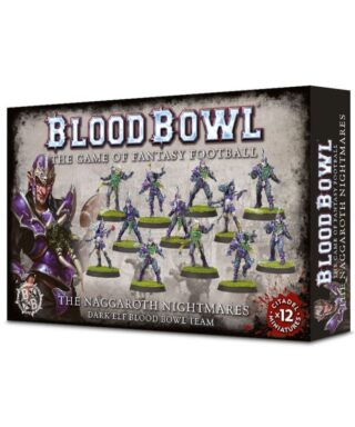 Dark Elf Team - The Naggaroth Nightmares