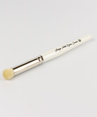 Artis Opus – Series D – L Drybrush