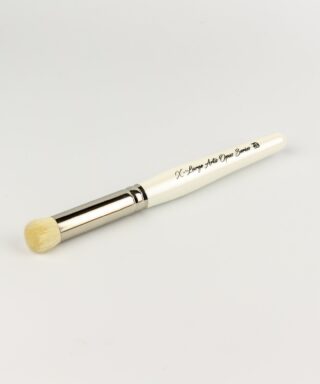 Artis Opus - Series D - XL Drybrush
