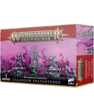 Tzaangor Enlightened