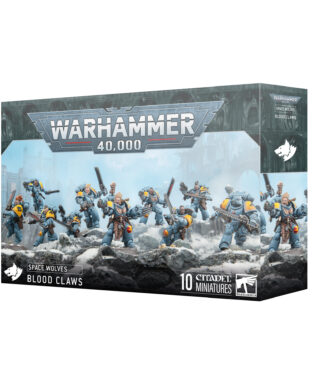Space Wolves Blood Claws