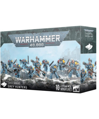 Space Wolves Grey Hunters