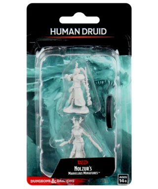 D&D Nolzur’s Marvelous Female Human Druid